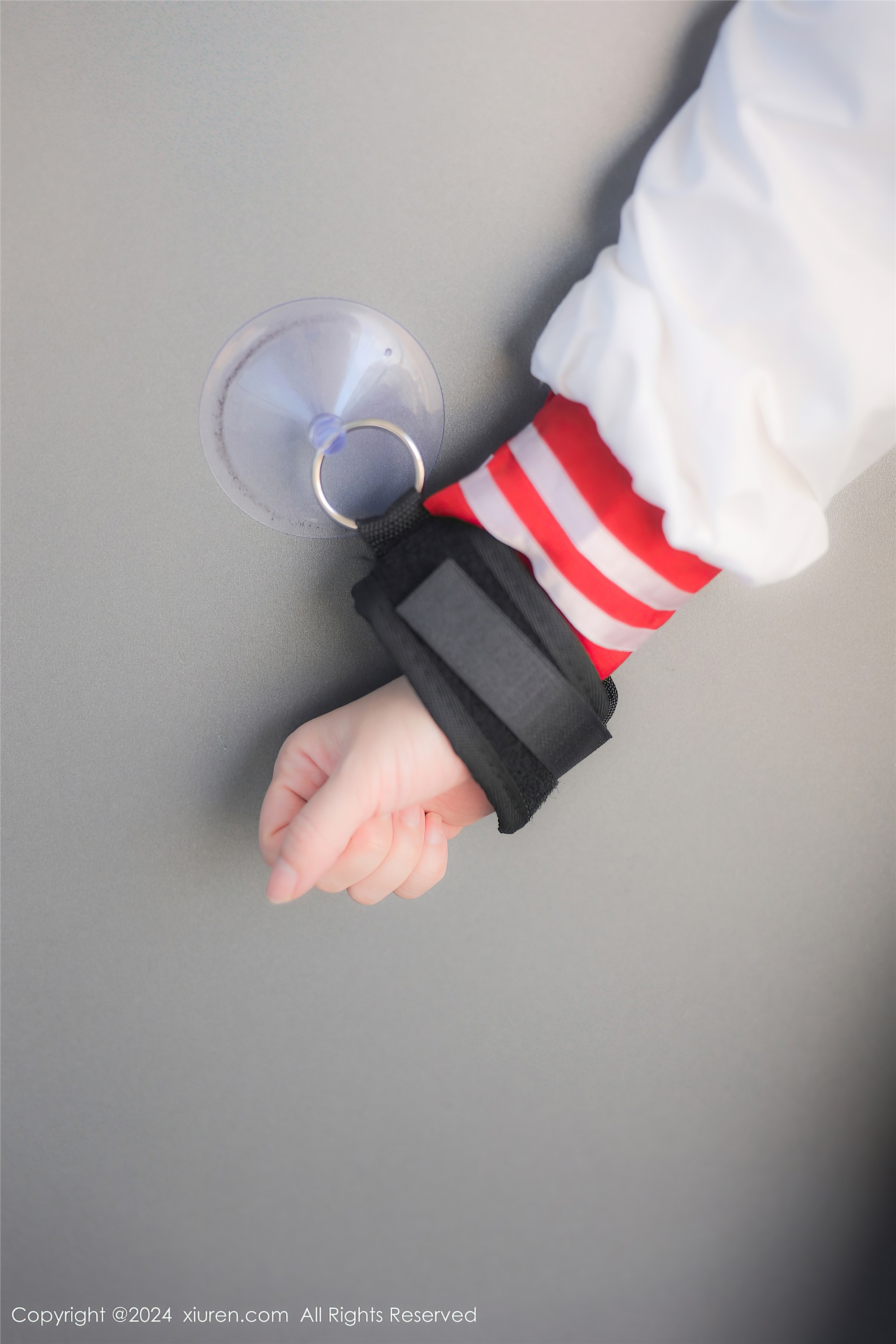 Xiuren秀人网 2024.03.26 NO.8293 小薯条nienie